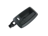 Mopar 1ZQ11JXWAA Handle-Latch Release