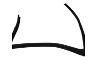 Mopar 5074018AH WEATHERSTRIP-Rear Door Flush Glass