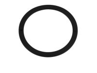 Mopar 68192972AA Washer-Thrust