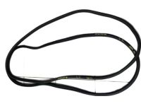 Mopar 68402033AA WEATHERSTRIP-Rear Door Body Mounted
