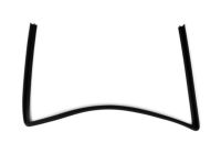 Mopar 55399168AE WEATHERSTRIP-Front Door Glass Run