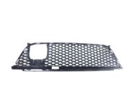 Mopar 68138355AA Grille-Lower