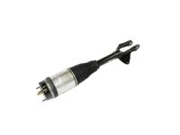 Mopar 68303268AB Spring-Air Suspension