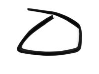 Mopar 55395728AF WEATHERSTRIP-Door Glass Run Channel