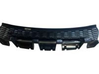 Mopar 68422116AC Grille-Radiator