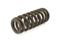 Mopar 4892675AA Spring-Valve