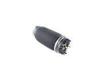 Mopar 68260938AA Air Suspension Spring