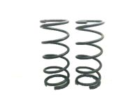 Dodge Durango Coil Springs - 52855255AA Rear Coil Spring