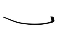 Mopar 57010506AH APPLIQUE-Rear Door