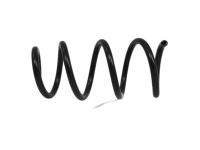 Mopar 5168663AB Front Coil Spring Right