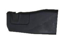 Mopar 6EN01TX7AC B Pillar Molding