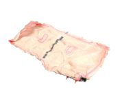 Mopar 68280930AC Front Seat Air Bag