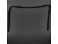 Mopar 5074004AG WEATHERSTRIP-Front Door Glass