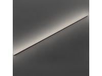 Mopar 68188802AC Molding-Front Door