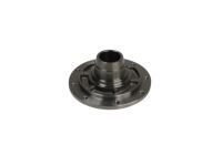 Mopar 5078737AA DIF SUPPO-Differential Gear & Bearing