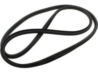 Mopar 55399173AA WEATHERSTRIP-Front Door SILL Secondary