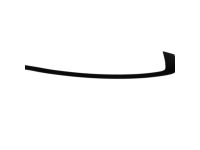Mopar 57010506AE APPLIQUE-Rear Door