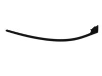 Mopar 4575884AD WEATHERSTRIP-Front Door Belt
