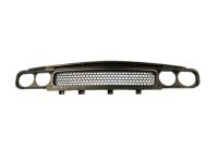 Mopar 68043388AB Grille-Radiator