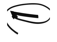 Mopar 68067556AB WEATHERSTRIP-Front Door Mounted