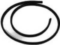 Mopar 1DZ06XXXAF WEATHERSTRIP-Front Door Body Mounted