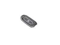 Mopar 6DB32TX7AC Lamp-Courtesy