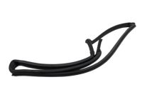 Mopar 68271740AA WEATHERSTRIP-Swing Gate To Body
