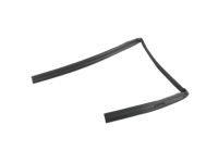 Mopar 55399188AG WEATHERSTRIP-Rear Door Glass Run