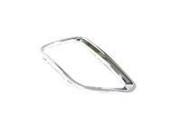 Mopar 6DE40SZ0AA Trim Ring-Fog Lamp Bezel