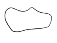 Mopar 68103062AB WEATHERSTRIP-Front Door Opening