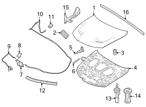 2024 Dodge Hornet HOOD Diagram for 68606913AA