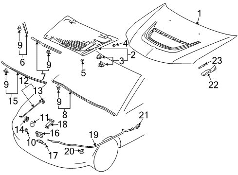 Weatherstrip-Hood Diagram for MR970725