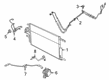 Diagram for 2024 Ram 1500 Transmission Oil Cooler Hose - 68268597AD
