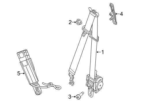 Front Outer Belt Assembly Diagram for 7ZL801X9AA