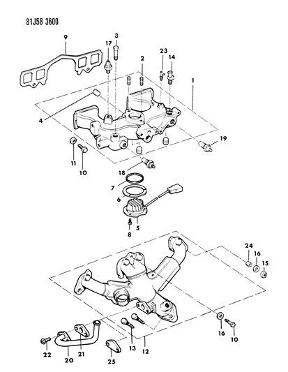 1986 Jeep Wrangler Manifolds - Intake & Exhaust Diagram 1