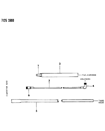 1987 Dodge Charger Vapor Canister Hose Harness Diagram 2