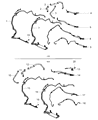 Diagram for Dodge Avenger Power Steering Hose - 5085546AE