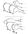 Diagram for 2012 Dodge Journey Power Steering Hose - 68068740AE