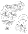 Diagram for Chrysler Prowler Trunk Lid Lift Support - 4815724