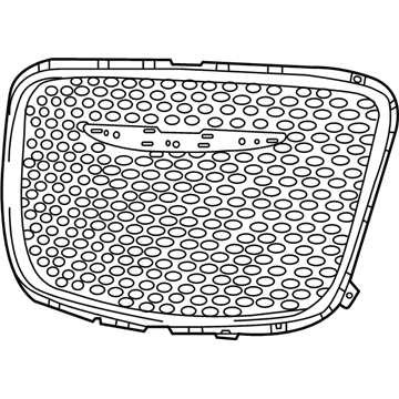 2015 Chrysler 300 Grille - 5SW17SZUAC