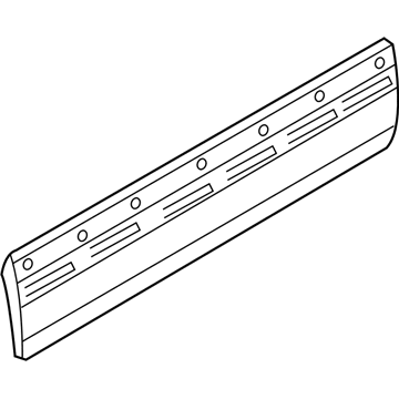 Mopar 5HB28TZZAB APPLIQUE-Front Door