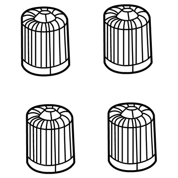 68206631AA Mopar Cap Kit-Valve Stem Illustration 1 of 1