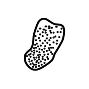 MR202290 Mopar Rear Seat Back Pad Illustration 1 of 1