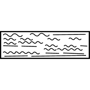 MB682048 Mopar Air Bag Warning Label Illustration 1 of 1