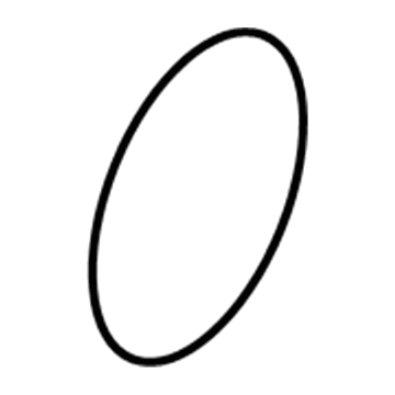 5159019AA Mopar O Ring-Water Pump Illustration 1 of 1