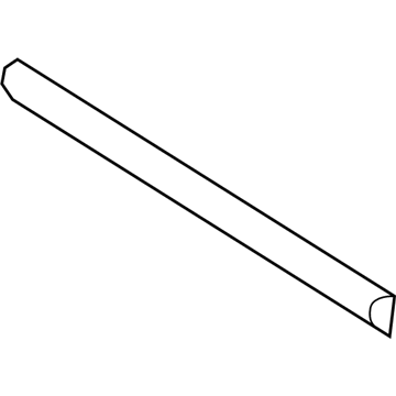 2007 Dodge Ram 3500 Door Moldings - 55077172AD