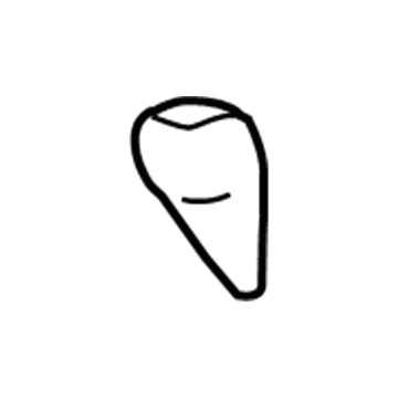 Dodge Charger Shift Knob - 4779399AC