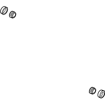 Ram Dakota Differential Bearing - 5072496AA