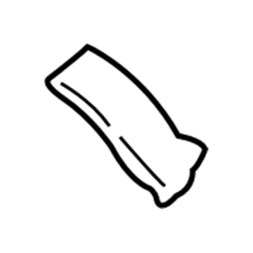 MR975502 Mopar Handle-Front Door Assist Illustration 1 of 1