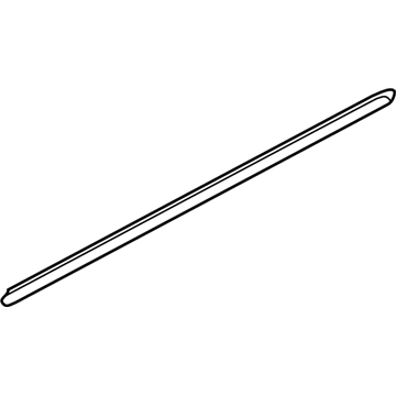 2003 Dodge Dakota Door Moldings - 5FX96DX9AB